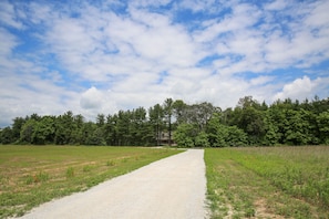 wild grass and trees grow in front pasture (higher than picture). Nature paths