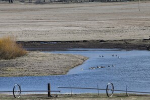 View of the river from the house. Winter 2014
