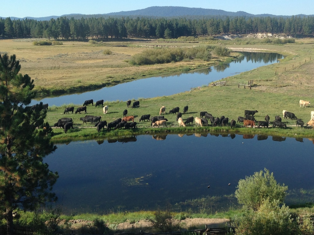 Home on the Sprague River in Chiloquin, Oregon40 miles from Crater