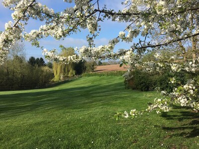 イギリス ウスターシャー州のombersley近郊の広々としたカントリーハウス スタワーポート オン セヴァーン イギリス ウスターシャー州のombersley近郊の広々としたカントリーハウス スタワーポート オン セヴァーン