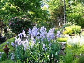 Hillside Garden