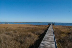 Pier to Bay