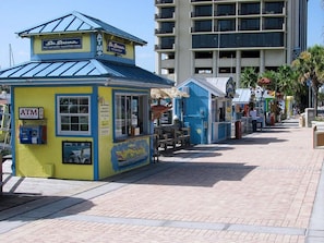 Clearwater Marina has plenty of fun excursions.