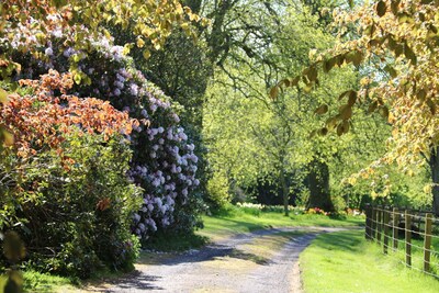 GARDEN COTTAGE, near St Andrews. Quiet, rural location. New June availability!