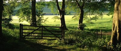 GARDEN COTTAGE, near St Andrews. Quiet, rural location. New June availability!