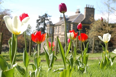 GARDEN COTTAGE, near St Andrews. Quiet, rural location. New June availability!