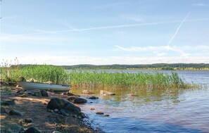 area