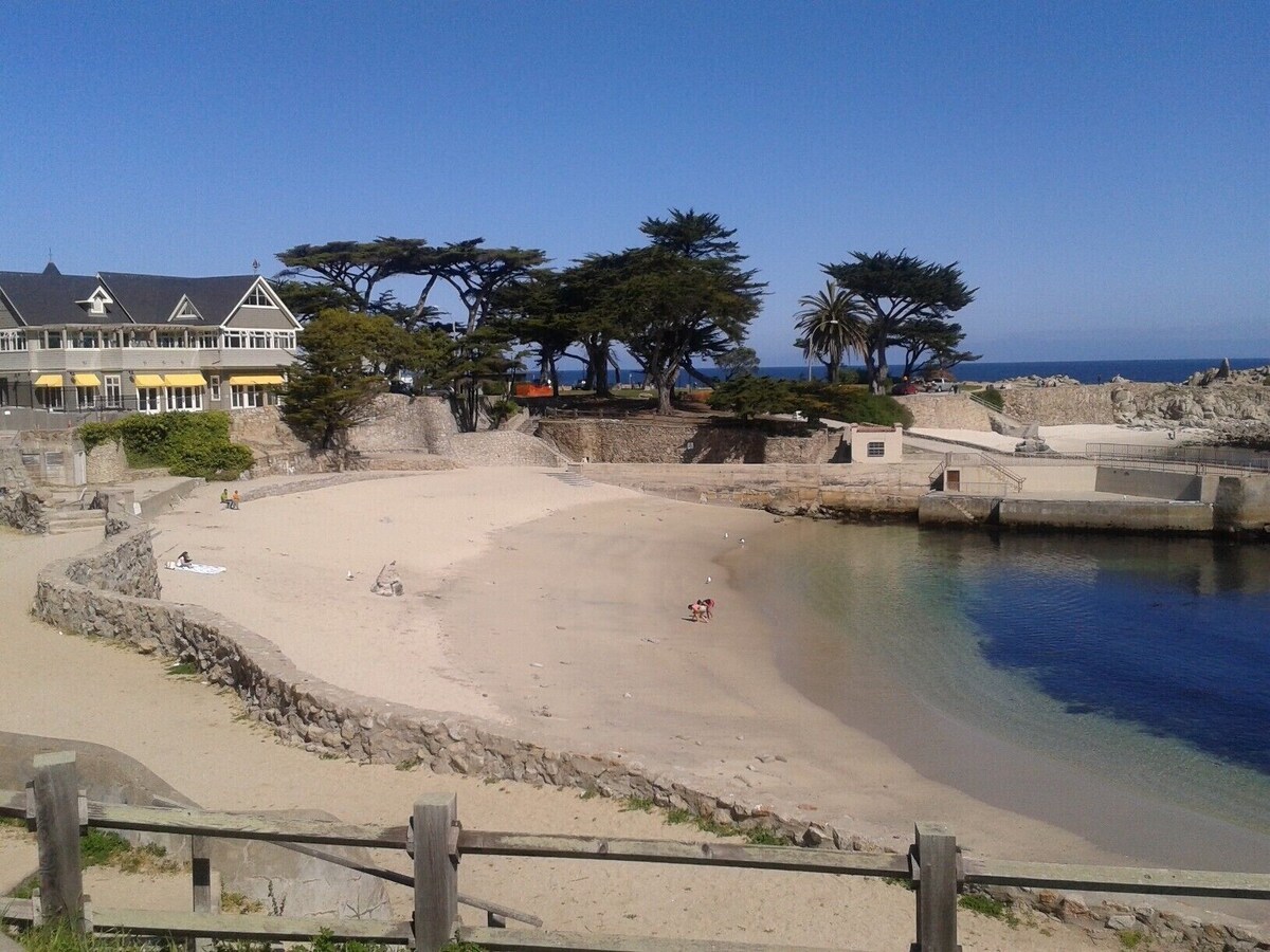 Lighthouse Ocean View Apartment-Passes for 2 at Lighthouse Cinema