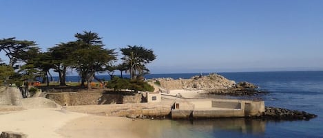 Pacific Grove Beach and Lovers Point just several blocks away