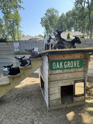 Kids are waiting to meet you !