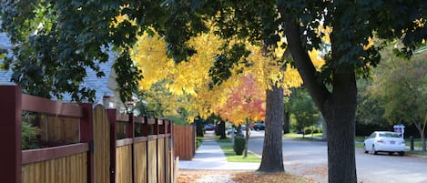 Our sidewalk in front of your getaway destination.