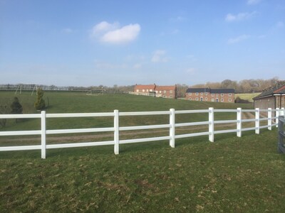 Peaceful modern house within a Dorset equestrian estate