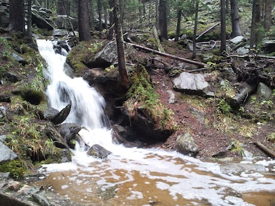 Mt. Evans Cabin with 150 acres, stream, amazing views, skiing, a true getaway