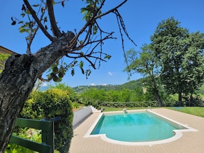 Large Pool with diving board