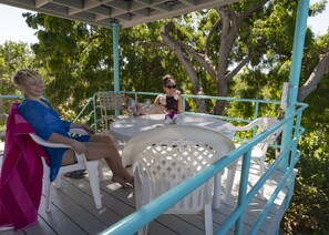 Deck is shaded by massive neem tree and sun-cover
