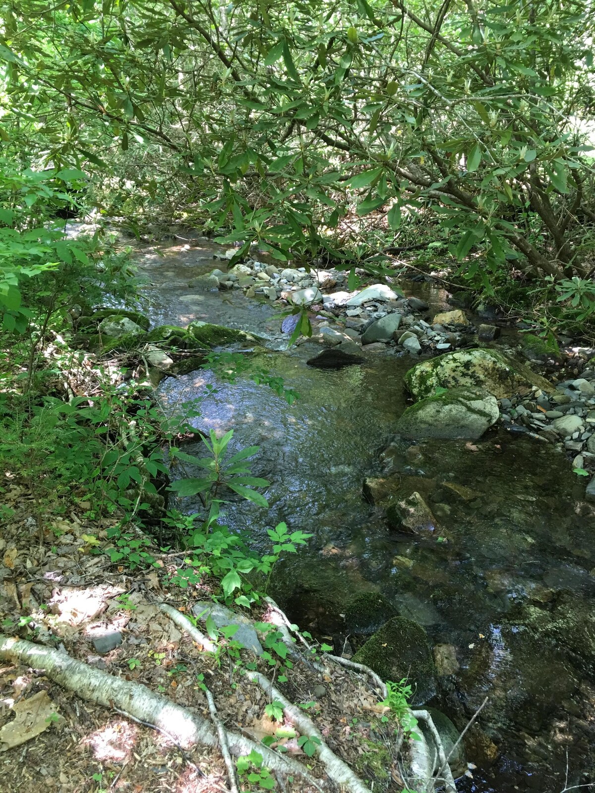 A Mountain Paradise on Collett Creek in Andrews, NC