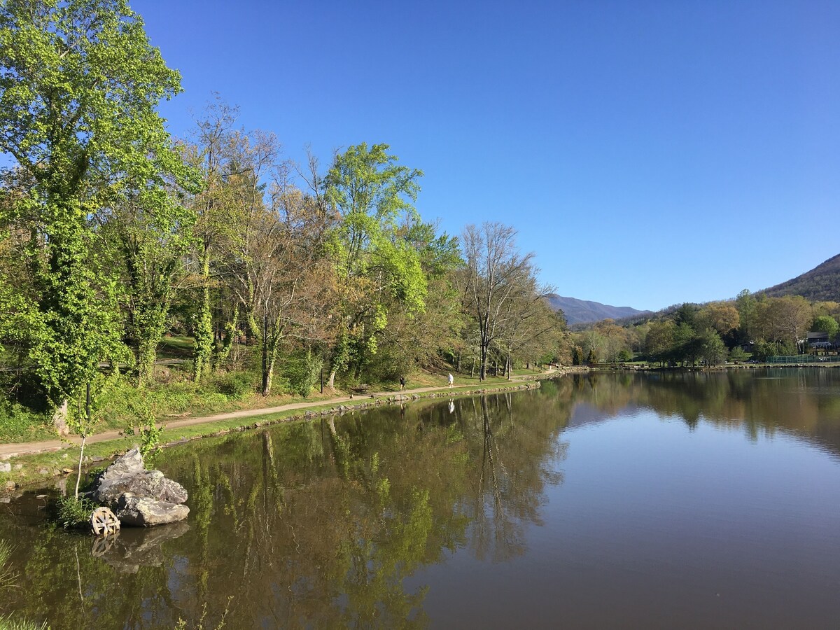 Peaceful Black Mountain Getaway Suite 20 Miles From Asheville