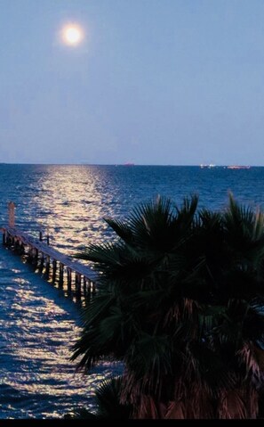 Moonlight on the Water