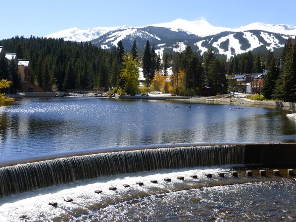 Maggie Pond