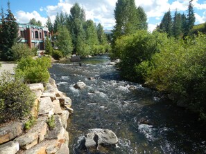 Walk and bike along the Riverwalk out your back door