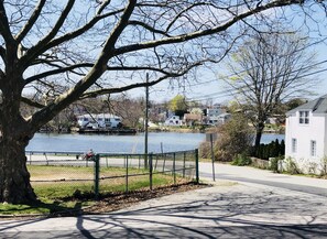 morning view of Alewife Cove