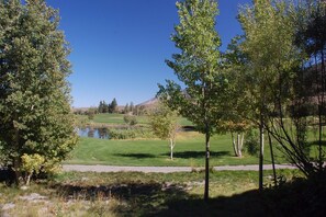 Views