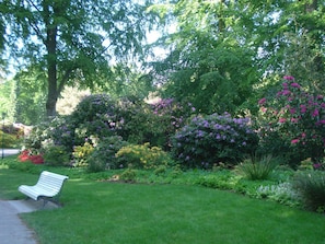 Rhododendronpark