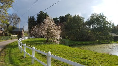 Picture of villa