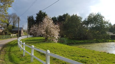 Gite meublé "les Azalés"