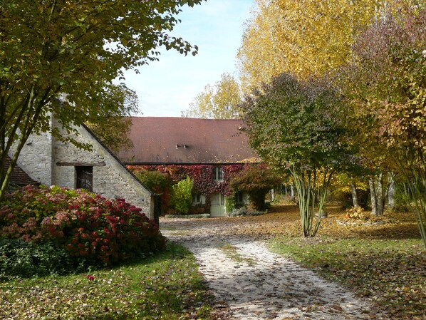 Exteriör