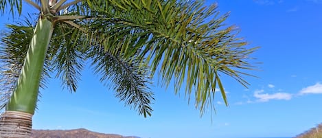 View of Hermosa Bay, from villa