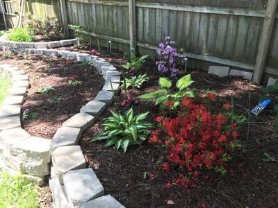 ☆ Historic/Renovated ☆ Smart Home ☆ Fireplace ☆Yard