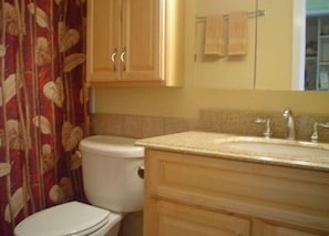 Luxurious bath with granite counters, tile floor, medicine cab. and maple vanity