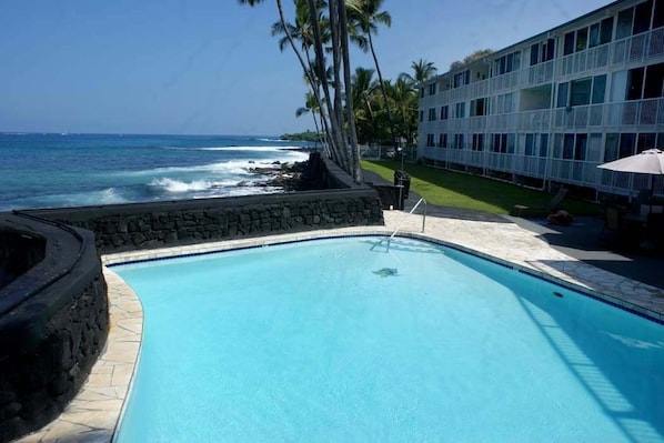 Ocean-side swimming pool and BBQ area.