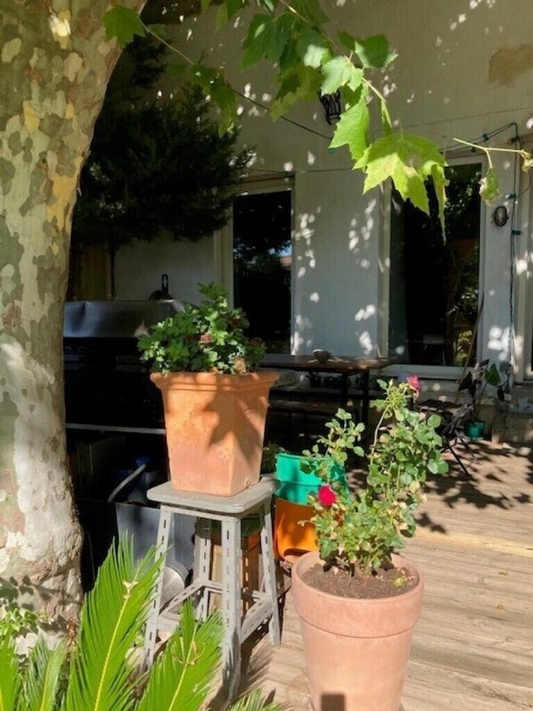 Terrass/Patio