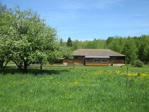 Back view from orchard