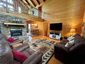 Downstairs Living Area