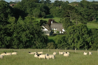 16th Century Thatched Cottage in an Acre of Mature Gardens