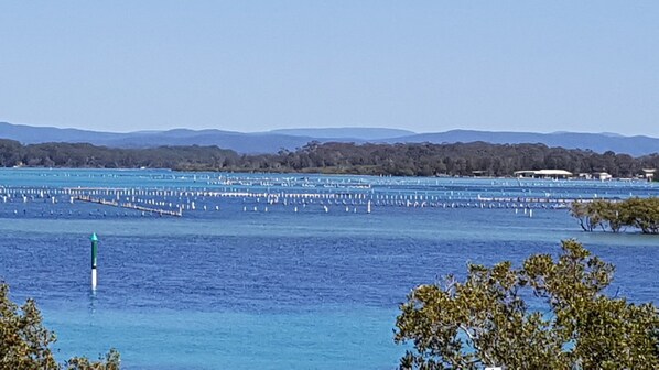 Direct water views
