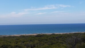 Playa del Moncayo 