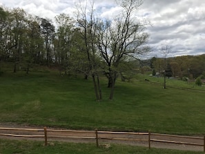 View from covered porch