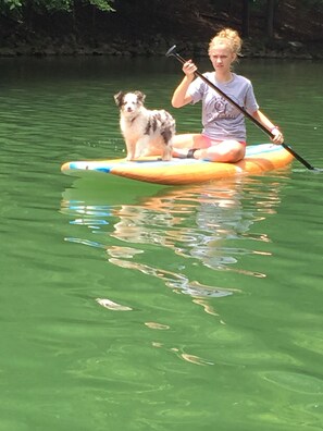 Water Dog Sports