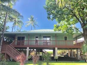 The road-side of the house and front lawn