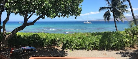 View of the ocean and front lawn from the deck. Snorkel boats in the distance. 