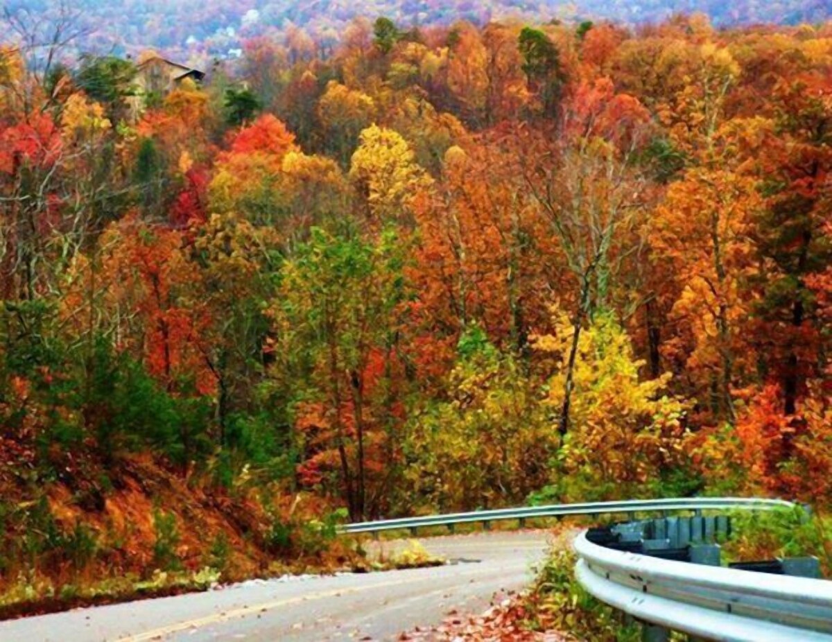Enjoy, Beautiful, up close & personal mountain views ,1 mile from Lake Chatuge
