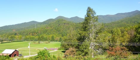 View  from  the  deck.