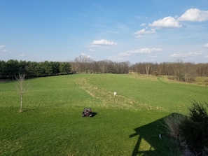 Gazing off the porch