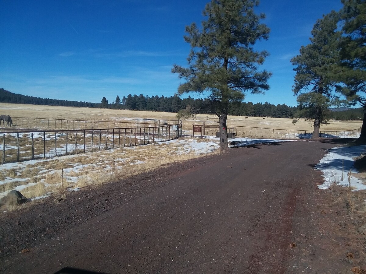 Grand Canyon Cottage@Historic Wrigley Ranch-Horseback Riding-Shooting-DogsOK!