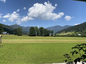 Vista desde la habitación