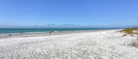 Come Relax on the Pristine White Sand of Indian Shores Beach!